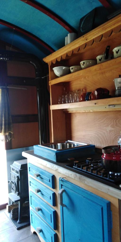 Shepherd's hut in nature photo 3