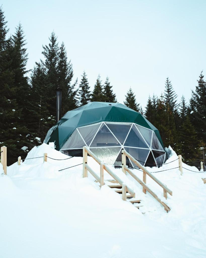 Golden Circle Domes - Glamping Experience photo 2