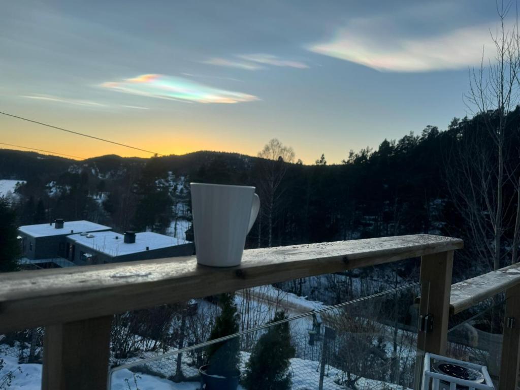 Hytte Sørlandet med spa photo 4