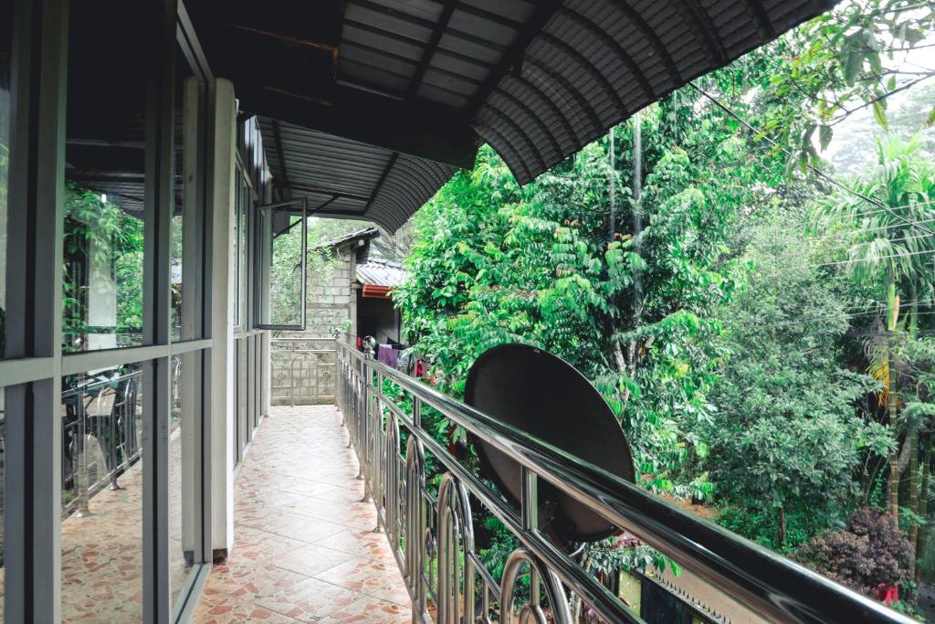Amore Resort photo 4