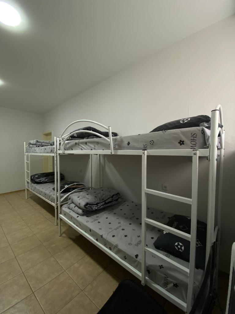Guest House photo 4