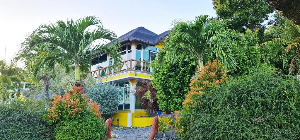 Dreamland Paradise Resort photo 3