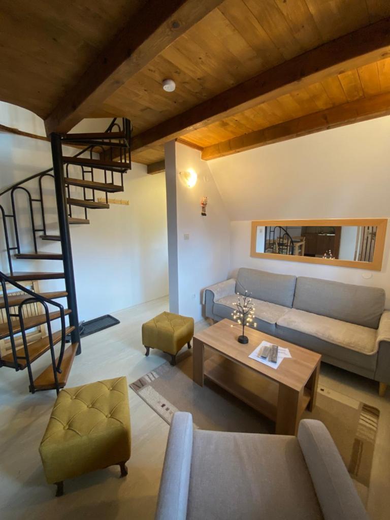Vila Grand Mitrovac photo 4