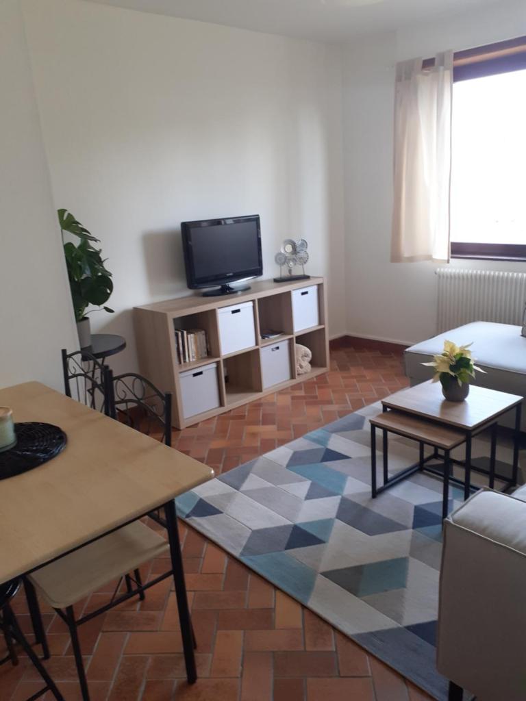 Gîte au calme, 2 à 4 personnes proche Colmar photo 3