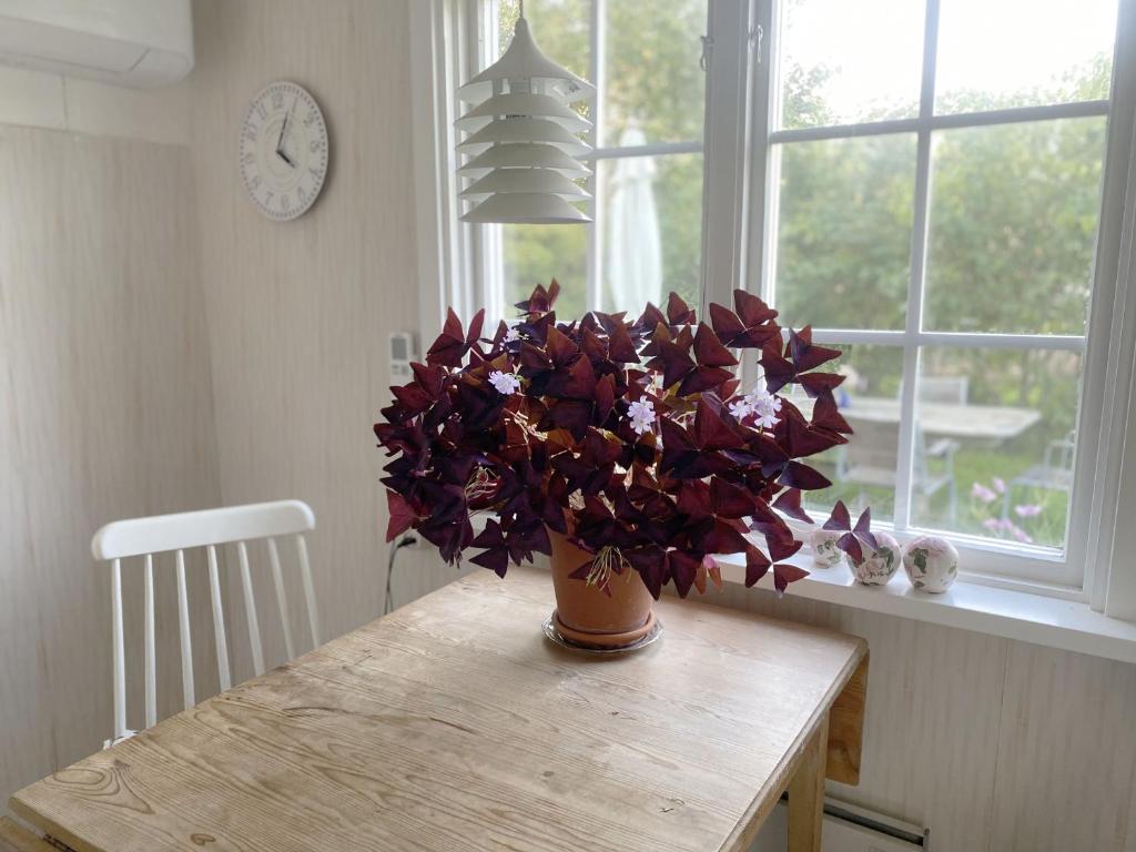 Cozy cottage in Vejbystrand near the beach photo 2