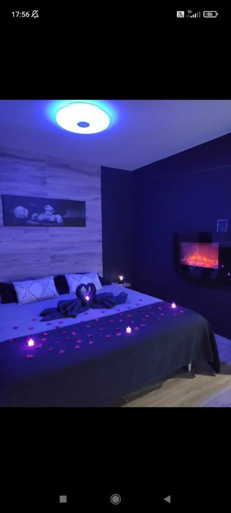 Loft sauna jacuzzi ospariegeois photo 1