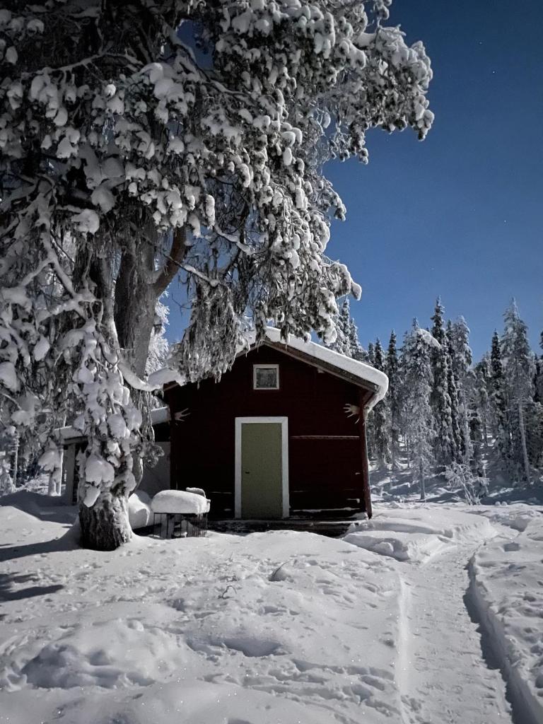 Tiny House in Nattavaara by photo 1