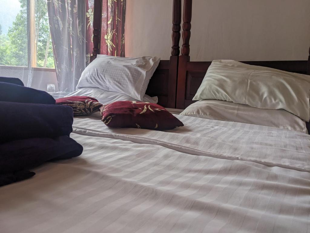 Cwmbale Eco-Safari Lodges, Restaurant and Zoo. photo 1