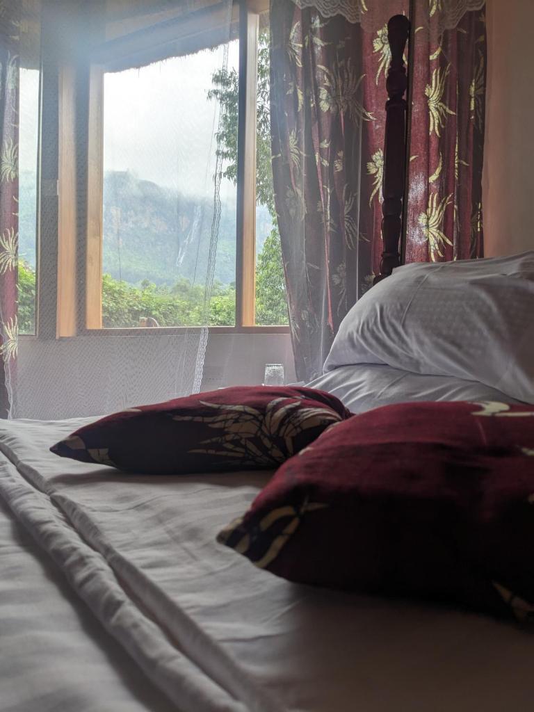 Cwmbale Eco-Safari Lodges, Restaurant and Zoo. photo 2