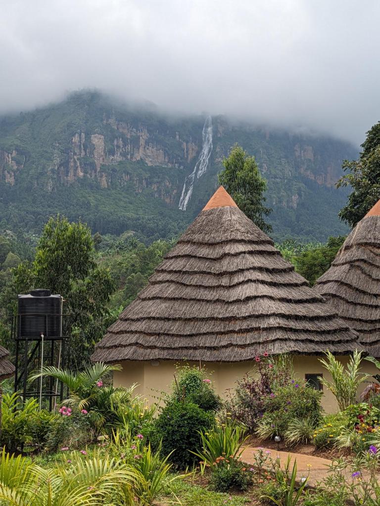 Cwmbale Eco-Safari Lodges, Restaurant and Zoo.
