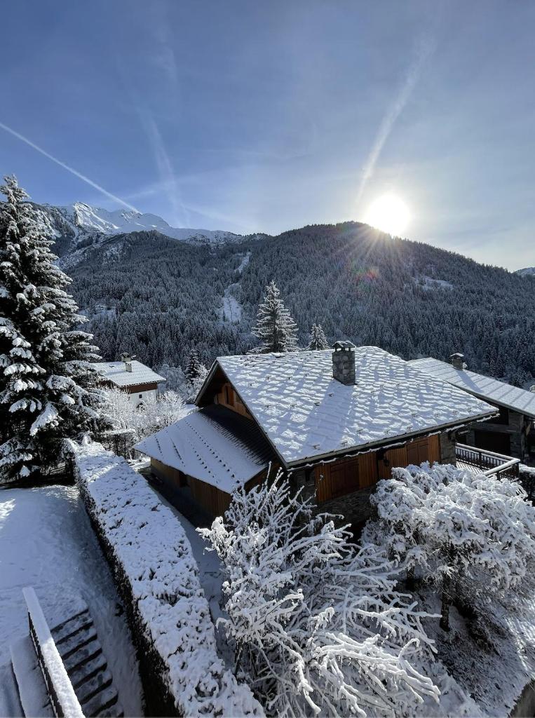 T3 Champagny-en-Vanoise avec terrasse plein sud photo 2