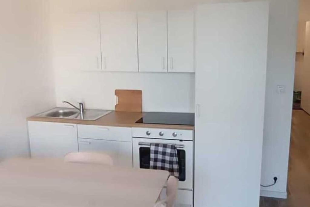 Appartement cosy avec jardin photo 2