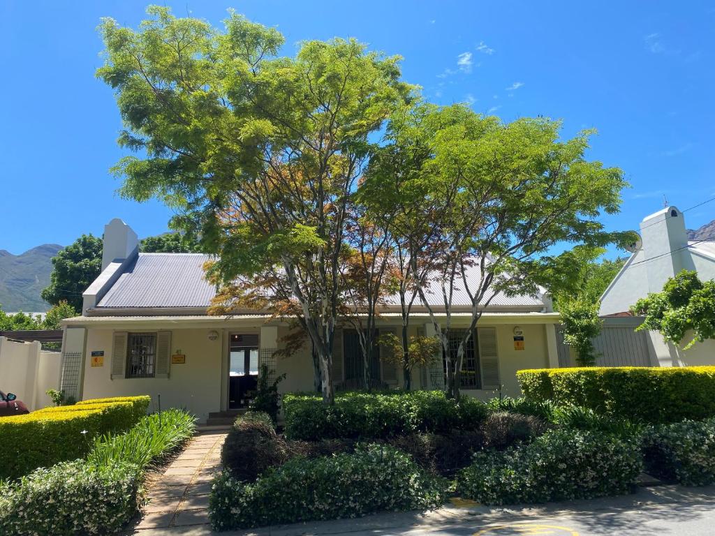 Leopard Tree Cottage photo 1