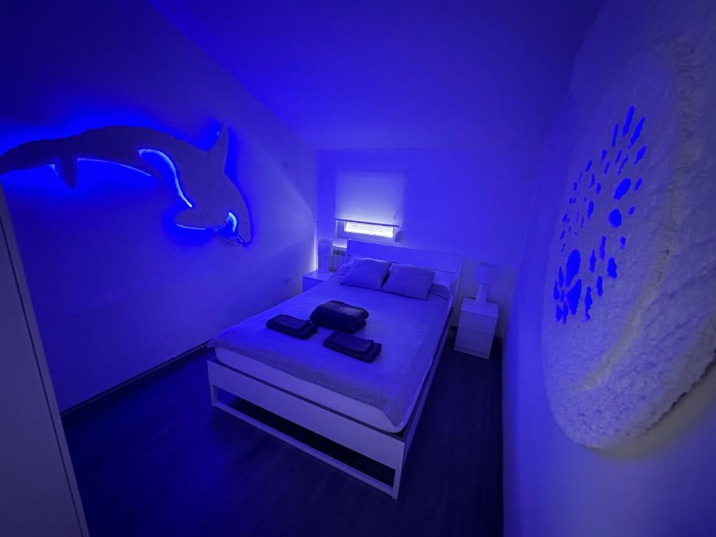 Apartman Dunav