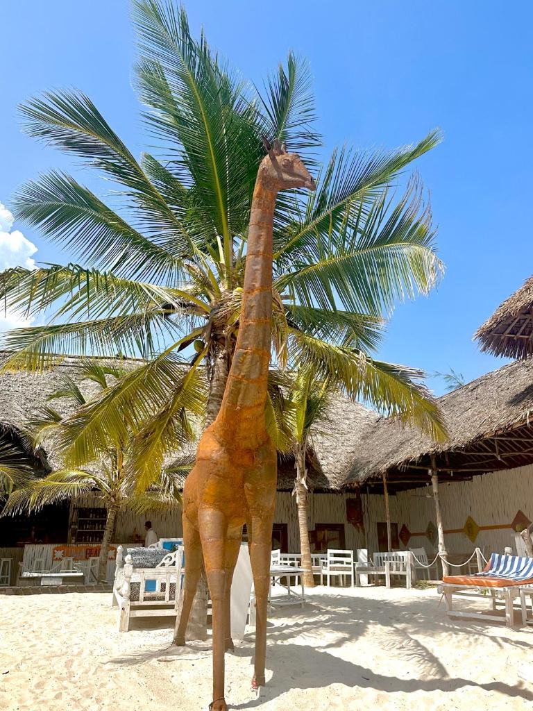 Luwa Beach&Suits photo 1