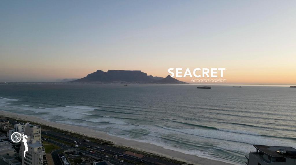 Seacret Whale