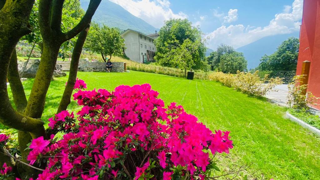 Bed and Breakfast Soffio di Vento photo 4