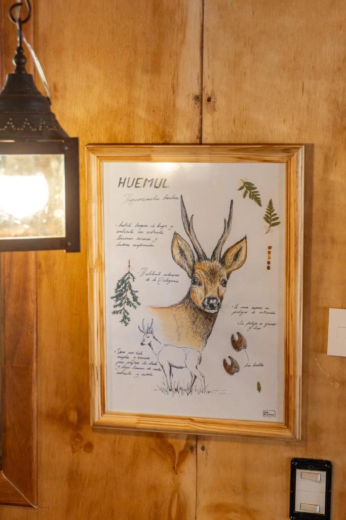 Wild Cabañas Boutique photo 3