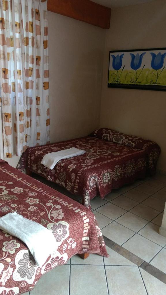 Hotel y Bungalows Olivares photo 2