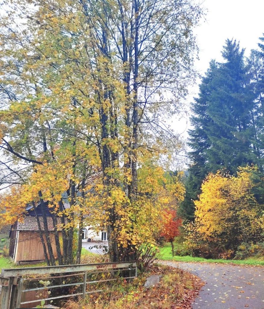 Gîte du Champ De La Pierre photo 2
