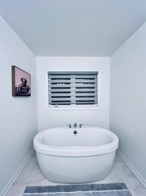 Brand New! Modern Luxury Retreat! photo 2