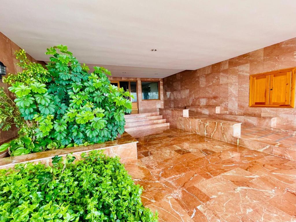 Welcoming apartment in Aguadulce with private terrace photo 1