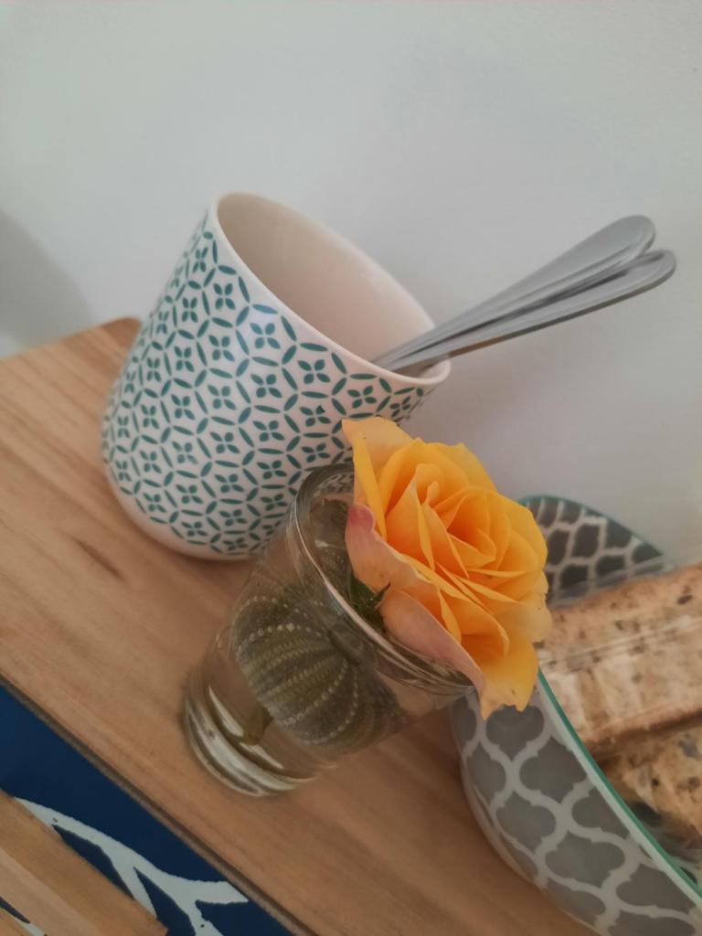 Homely Seastay photo 1