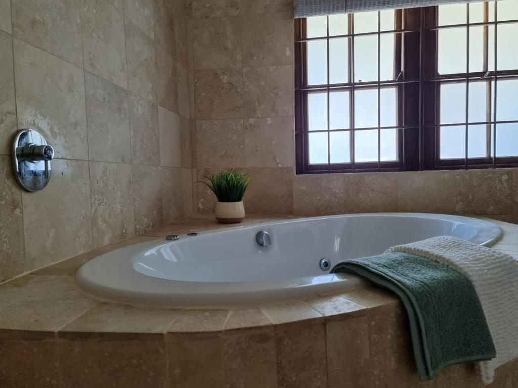 Homely Seastay photo 2