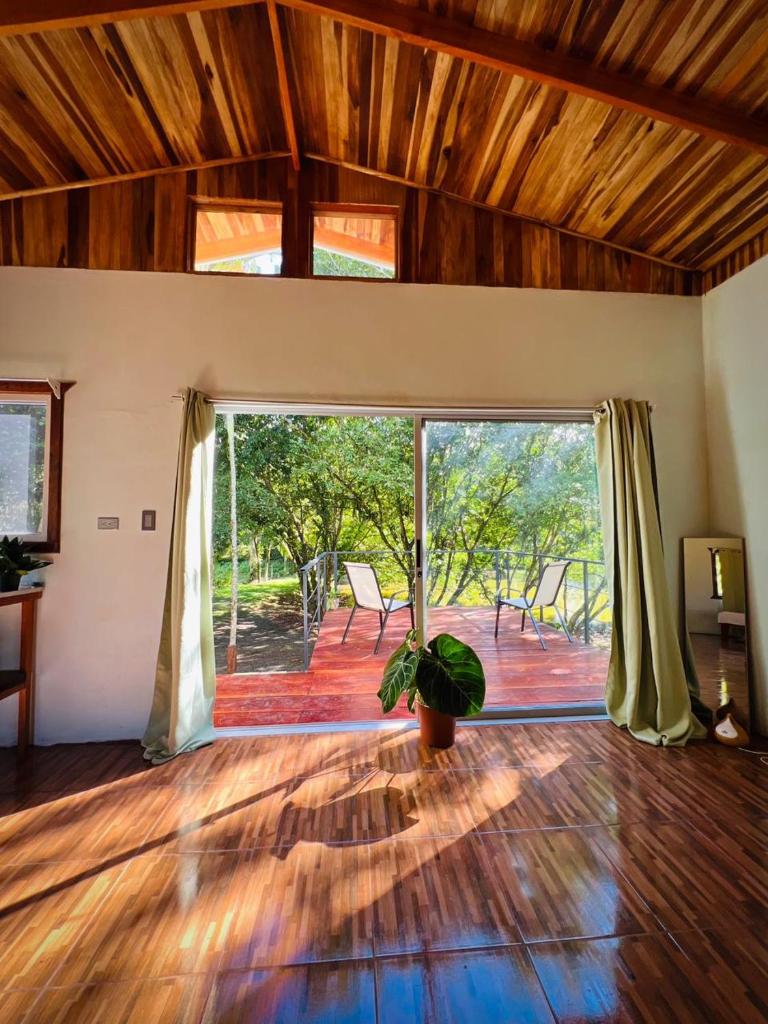 Ficus house photo 4