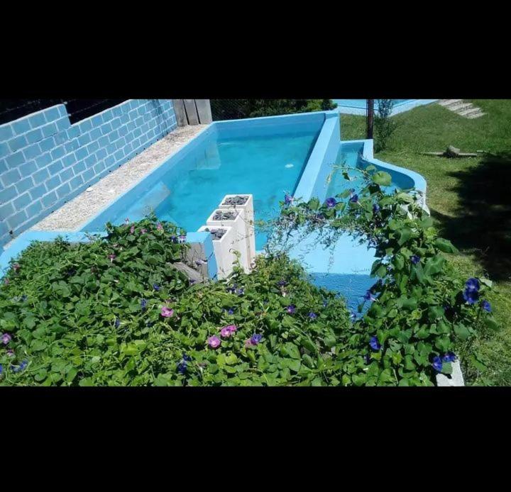 Casa rustica photo 3