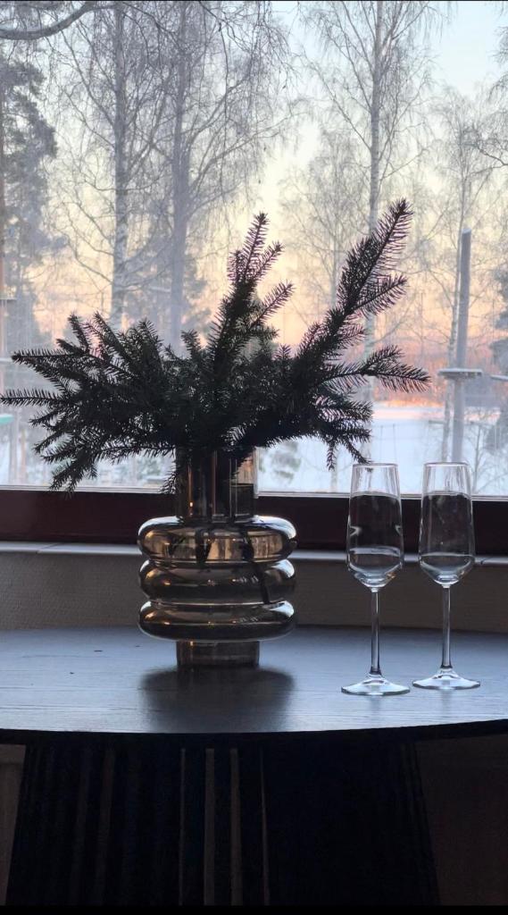 Ellivuori Rooms suurempi hotellihuone 24m2 järvinäköalalla Hyvä varustelu photo 4
