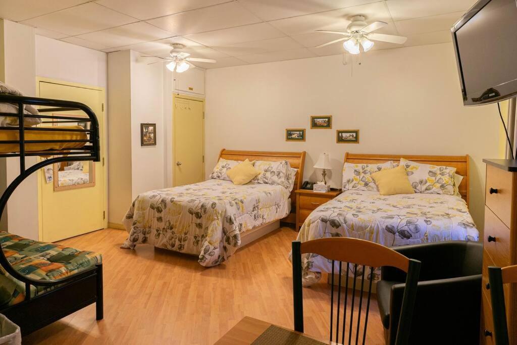 222 Espace Généreux, Aventure Locale