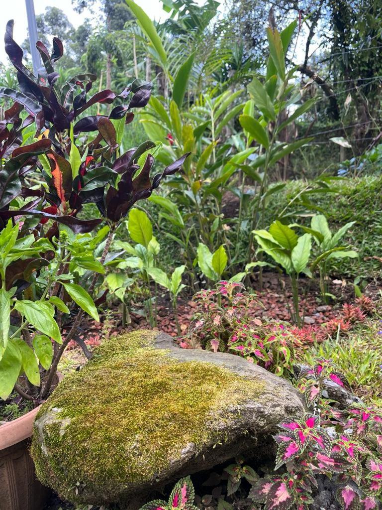 Serenity Mountain photo 3