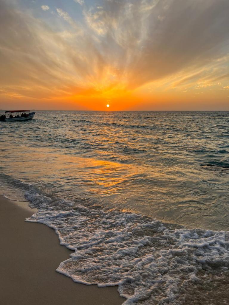 AcapulcoBeach photo 4