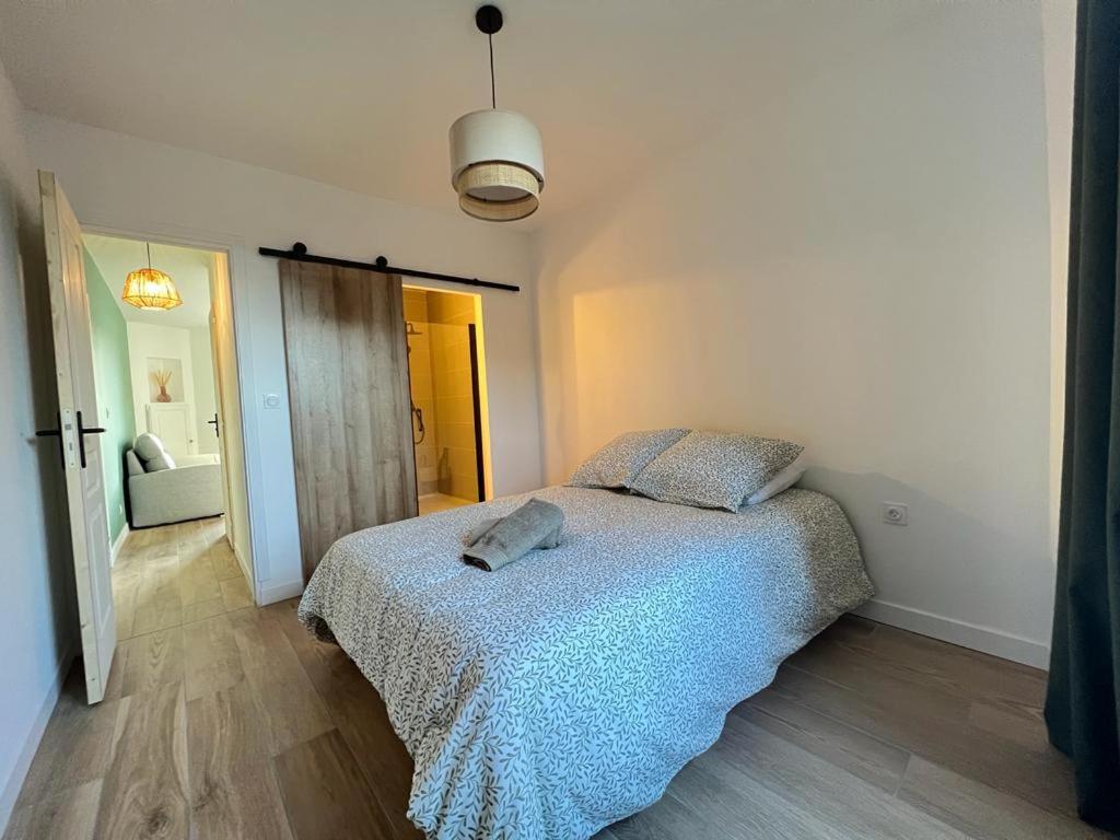 Appartement coup de coeur. St Etienne-Rochetaillée photo 4