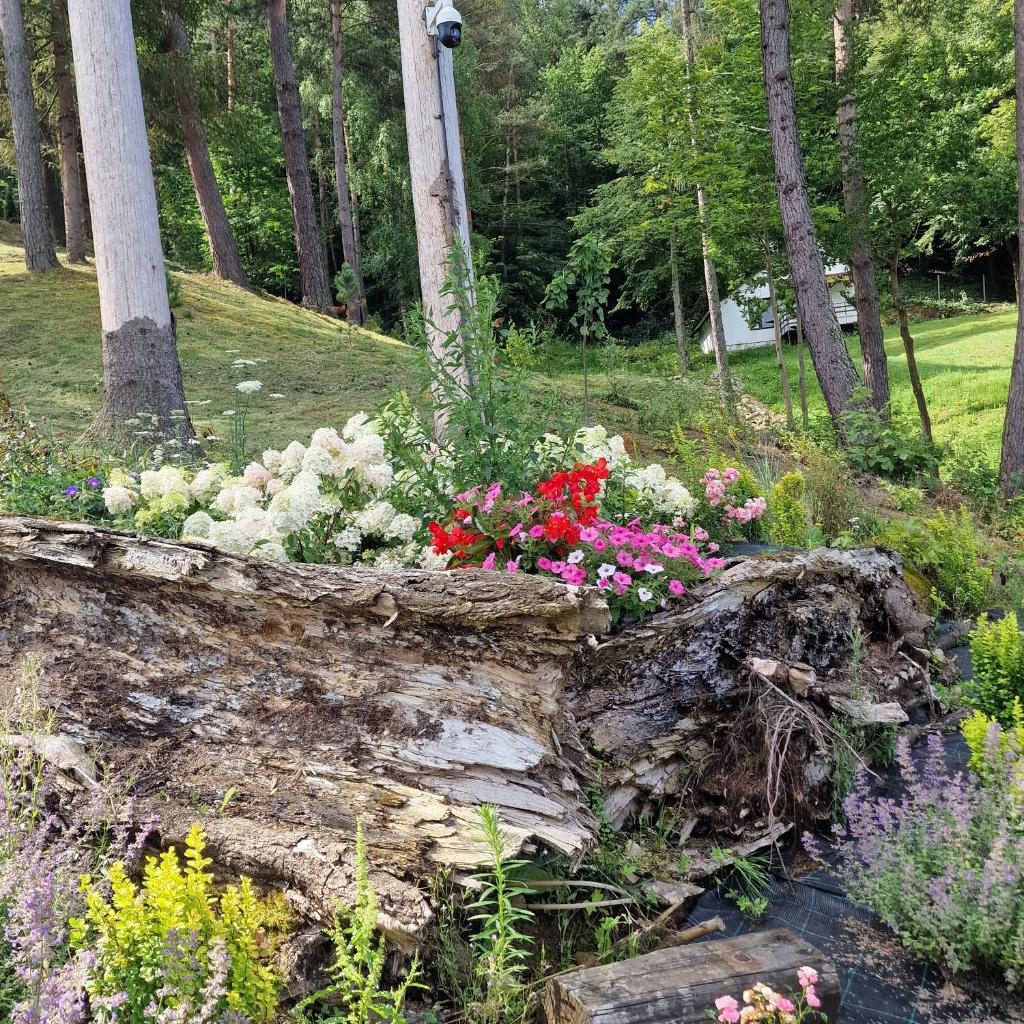 Przystań nad Sanem z widokiem na góry i rzekę photo 2