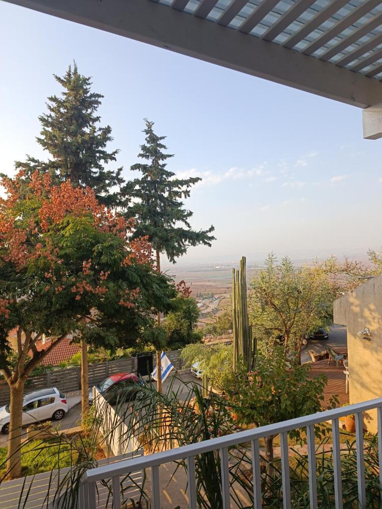 כוכב הגלבוע photo 1