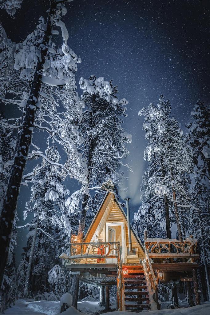 Cozy a-frame in the woods photo 1