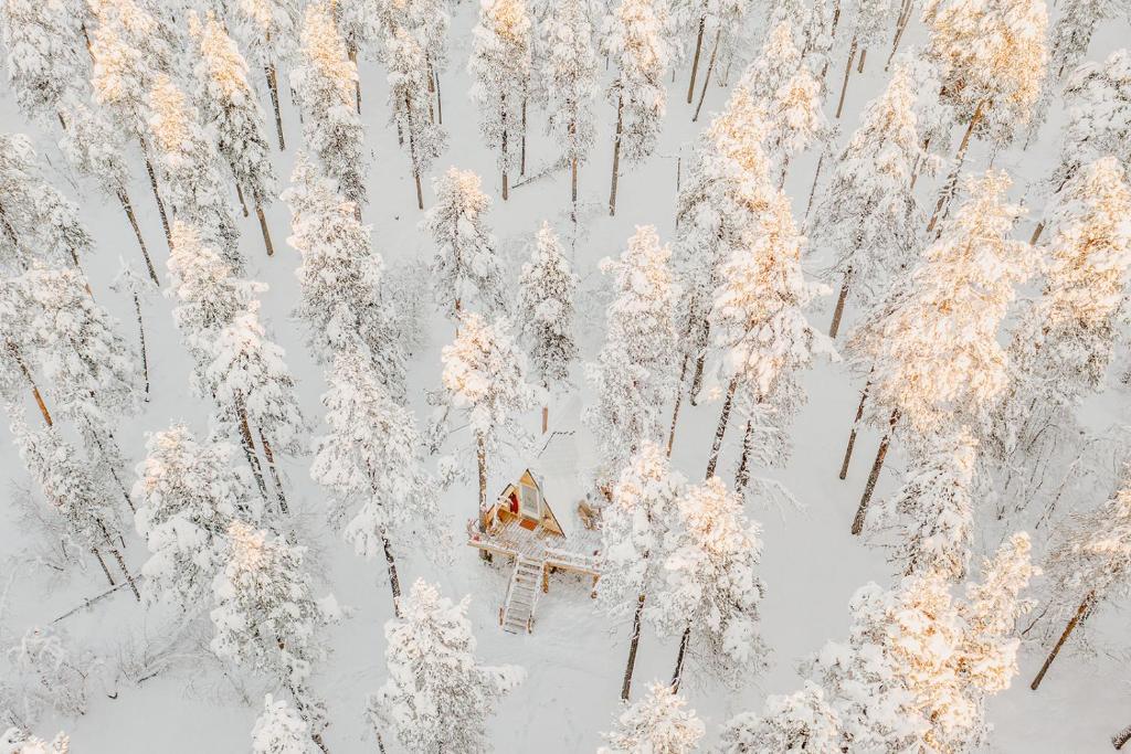 Cozy a-frame in the woods photo 2