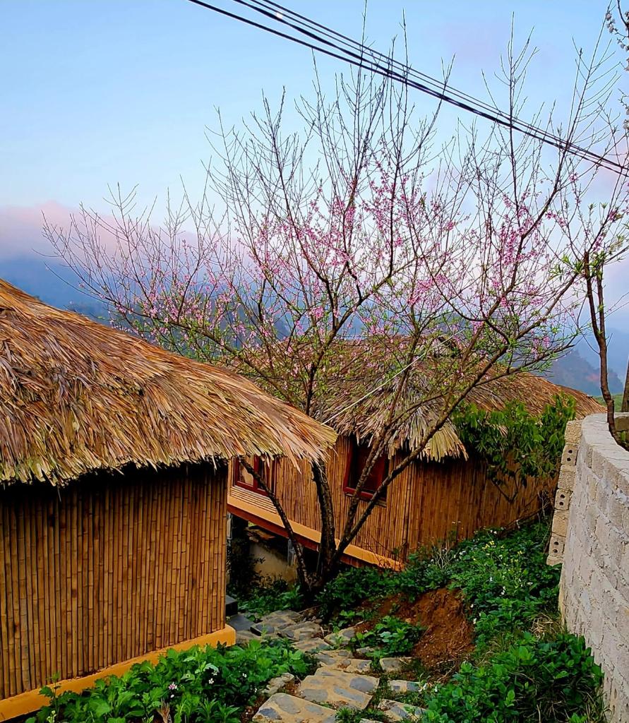 Mộc Châu Peachy Garden photo 3