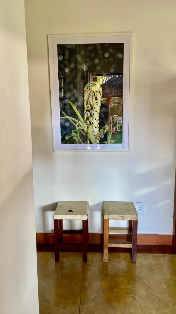 Pousada Tom Jobim photo 1