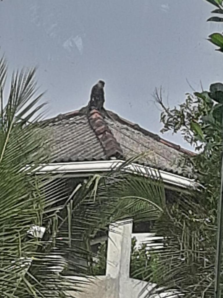 Nature's home photo 4