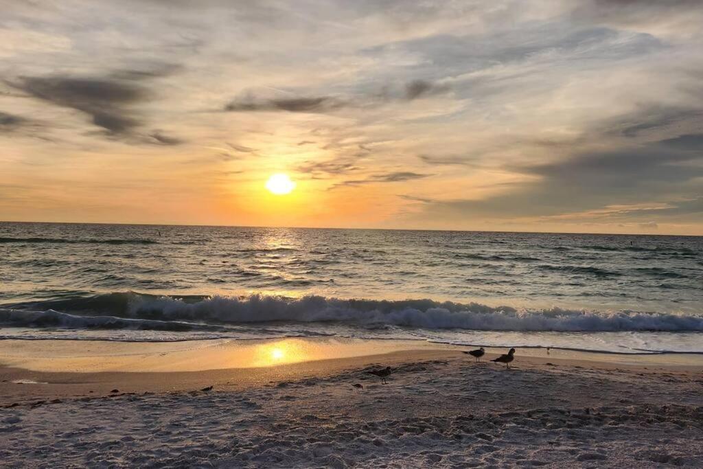 The Nest On Hollywood Beach PLS BE AWARE THAT I CANNOT RESPOND TO REQUESTS UNTIL BOOKING IS CONFIRMED u can contact chaimtenzer g com photo 4