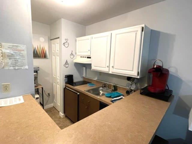 Deluxe Mountain Fox Suite Jiminy Peak - Ski On Off - Fully Redone Decor photo 3