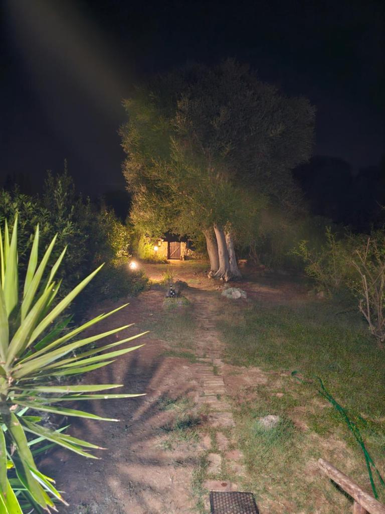 Casa in Provinca photo 2