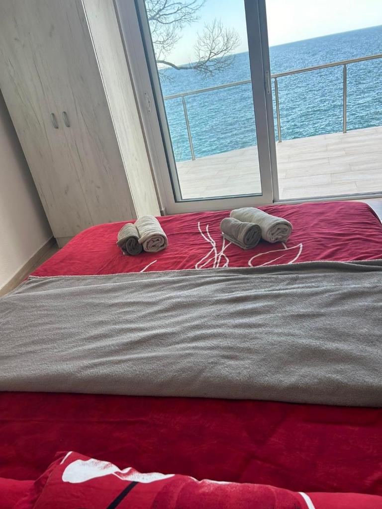 Apartmani Stikovic photo 1