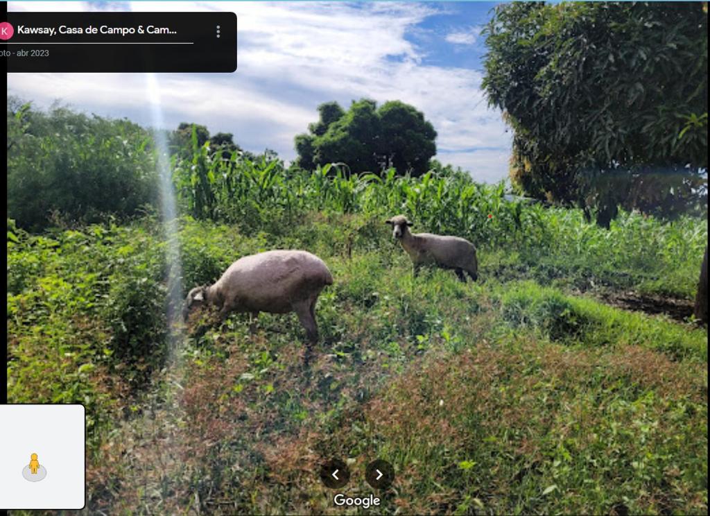 Kawsay, Casa de Campo & Camping photo 3