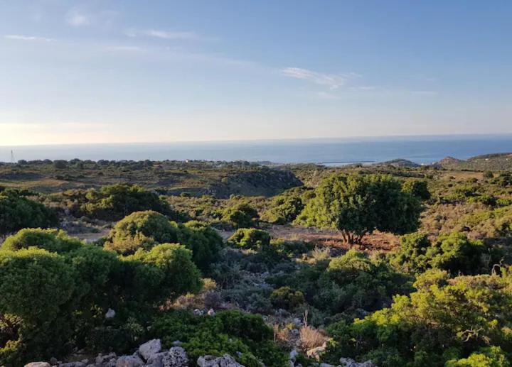 Damianakis Village Rethymno photo 2