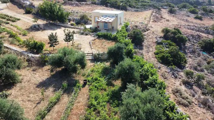 Damianakis Village Rethymno photo 1