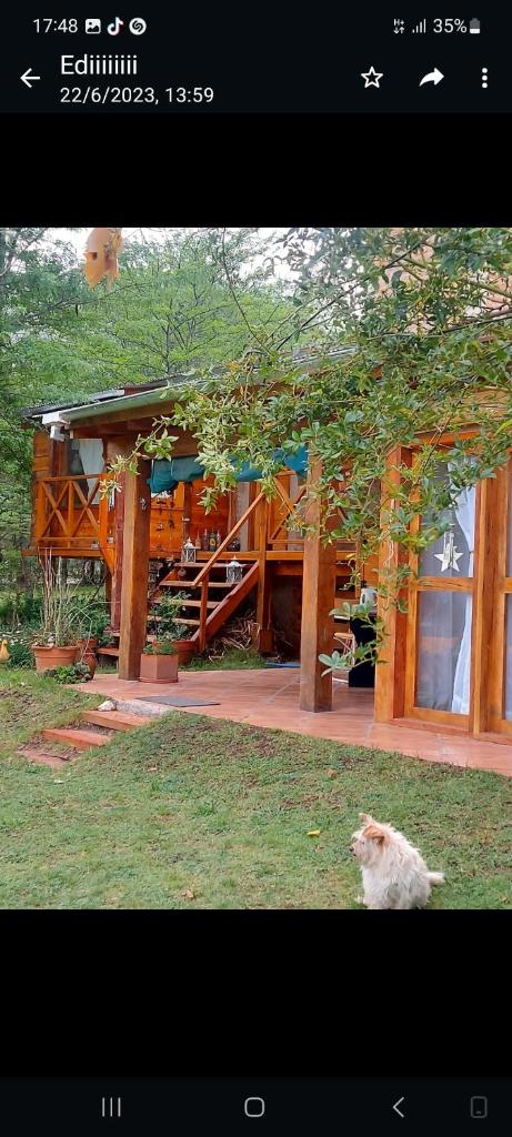 CASA CAMPO photo 4